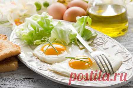 Рецепты белковой диеты для правильного похудения