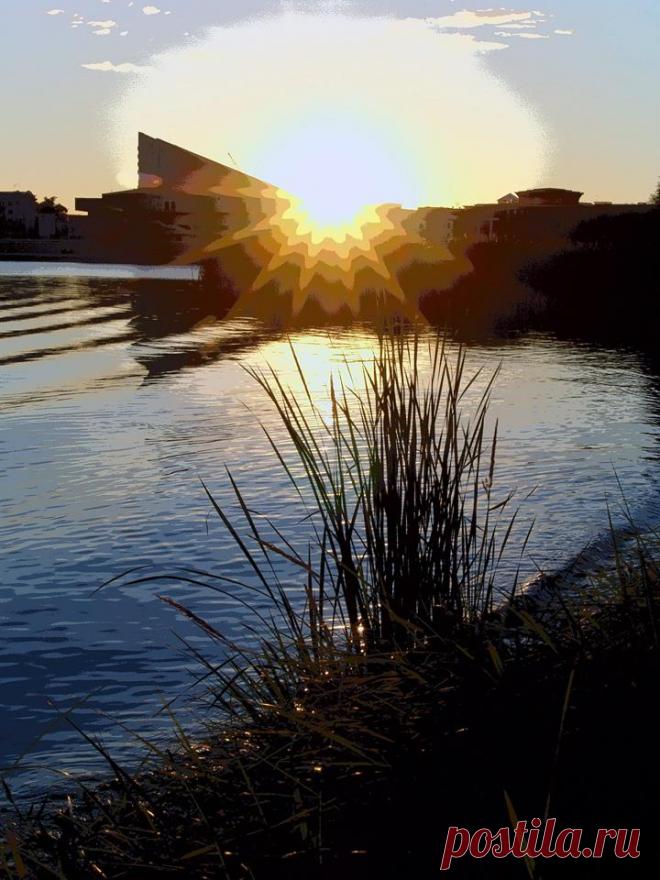 Владимир Шаповалов