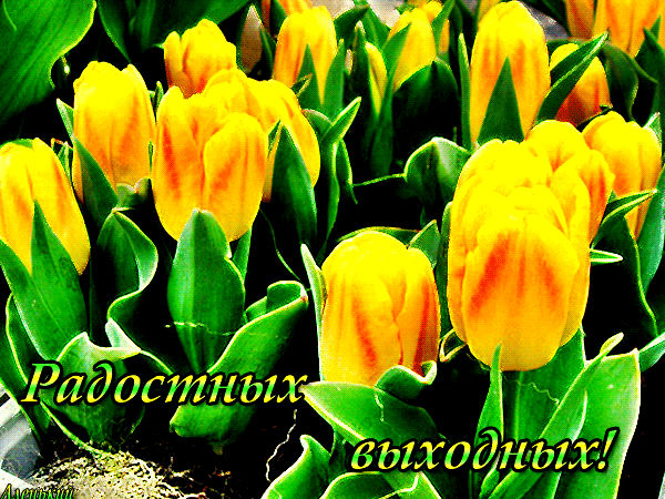 (14) Мой Мир@Mail.Ru
