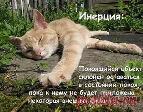 &quot;Вокруг света&quot;