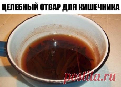 Целебный отвар для чистки кишечника! Все болезни уйдут прочь!
Этот способ особенно эффективен при очищении организма от солевых отложений, и очень полезен для суставов, костей и даже мышц. Для приготовления очищающего «зелья» необходимо взять Ингредиенты: 5 г измельченного лаврового листа залить 300 г кипятка и кипятить 10 минут на слабом огне. Настаивать в течение 4 часов, укутав в термосе. Пользоваться отваром нужно три дня подряд. Приготовленные 300 г нужно пить в течение дня маленькими глото
