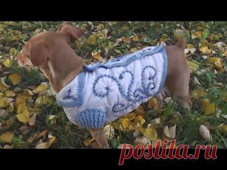 Куртка для собачки вязаная крючком-МК