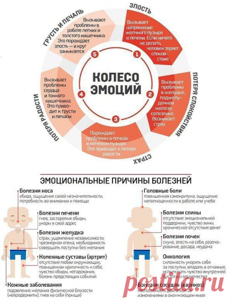 ♥Папа, мама, я - здоровая семья♥: ОТ ЧЕГО ВОЗНИКАЮТ БОЛЕЗНИ ПО МНЕНИЮ КИТАЙЦЕВ