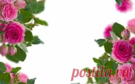 Цветы обои на рабочий стол - страница 11