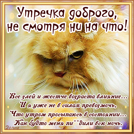ДОБРОГО УТРЕЧКА!