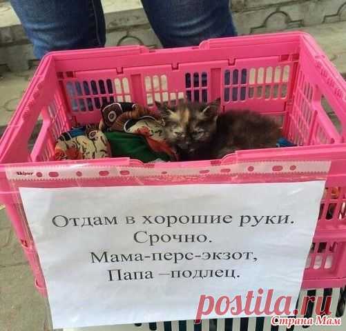 УЛЫБАЙКА! - ЗАО Шалунья - Страна Мам