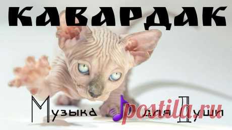 МУЗЫКА  ПО ВАШИМ  ЗАЯВКАМ   БЕСПЛАТНО    от  радио   кавардак