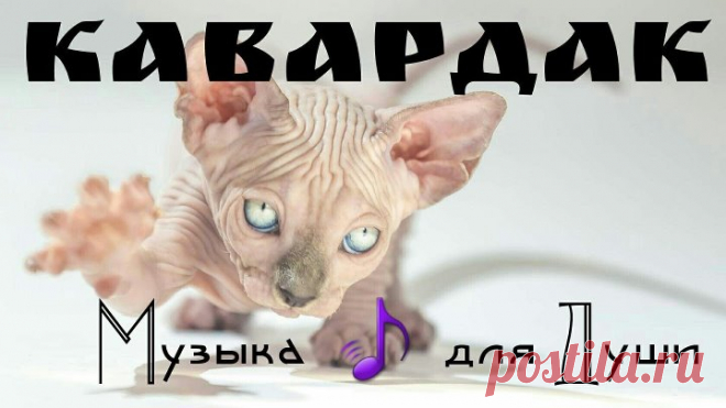 МУЗЫКА  ПО ВАШИМ  ЗАЯВКАМ   БЕСПЛАТНО    от  радио   кавардак