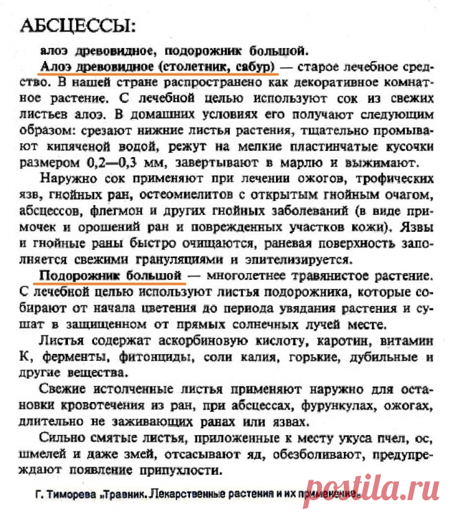 Абсцессы