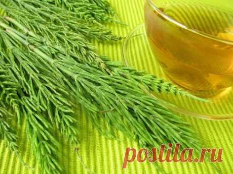 Боль в суставах: 5 натуральных противовоспалительных средств