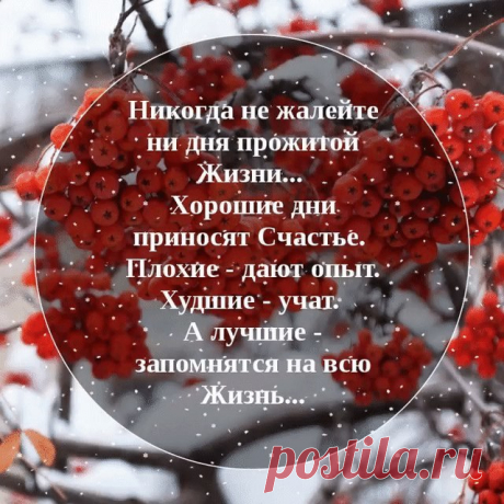 (3) Мой Мир@Mail.Ru