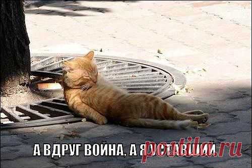 Сергей Перминов