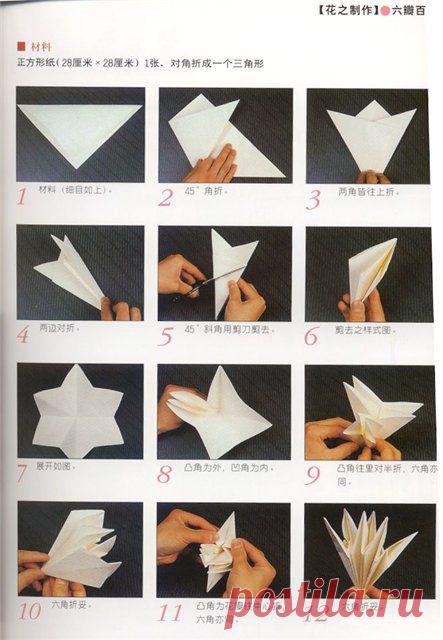 Радикал-Фото: Картинка