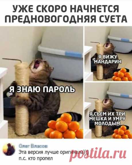 Подборка юмора на выходные | Мастерская интроверта | Яндекс Дзен