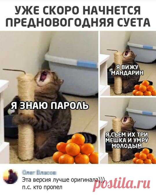 Подборка юмора на выходные | Мастерская интроверта | Яндекс Дзен