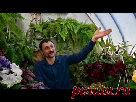 О профилактических обработках растений от вредителей