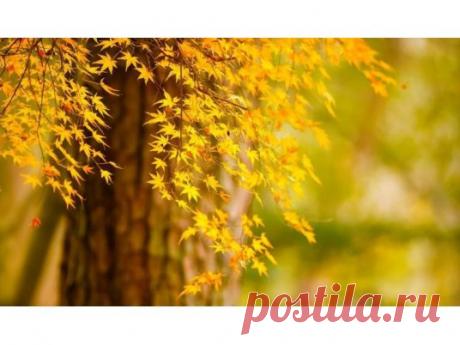 Шикарное путешествие ПО ЗОЛОТОМУ КОЛЬЦУ РОССИИ!!! 

 
Города Золотой Руси (Владимир - Боголюбово - Суздаль - Иваново - Кострома - Ярославль - Ростов Великий - Переславль-Залесский - Сергиев Посад - Александров ,5 дней) 

Классический тур, знакомящий путешественников с архитектурой, традициями и колоритом жемчужин Золотого Кольца России. 5 интереснейших дней и 11 незабываемых городов!