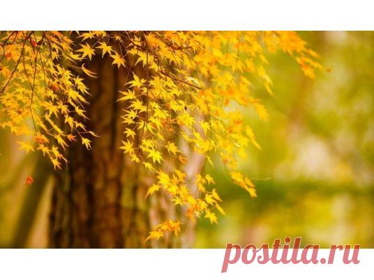 Шикарное путешествие ПО ЗОЛОТОМУ КОЛЬЦУ РОССИИ!!! 

 
Города Золотой Руси (Владимир - Боголюбово - Суздаль - Иваново - Кострома - Ярославль - Ростов Великий - Переславль-Залесский - Сергиев Посад - Александров ,5 дней) 

Классический тур, знакомящий путешественников с архитектурой, традициями и колоритом жемчужин Золотого Кольца России. 5 интереснейших дней и 11 незабываемых городов!