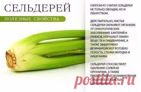 (4) Мой Мир@Mail.Ru