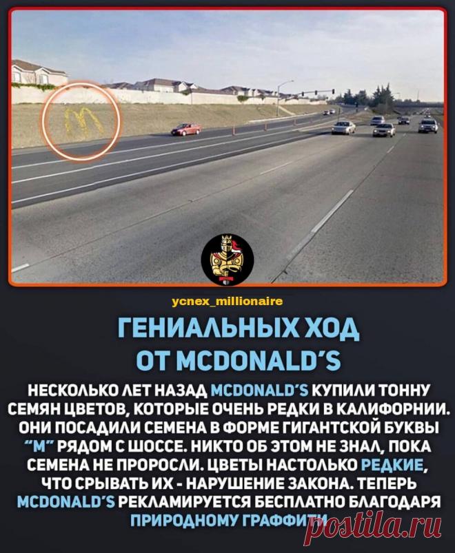 5 способов, как привлечь клиентов в свой магазин
1. Забота о клиенте, его вкусах и потребностях Этот способ более подходит для сфер бизнеса, связанных с обслуживанием клиентов. Например, гостиничный бизнес, который сейчас неплохо развивается, представители малого бизнеса открываю небольшие частные отели, хостелы и т. п. Можно и нужно собирать информацию о клиентах (обо всех): их предпочтения,...
Читай пост далее на сайте. Жми ⏫ссылку выше