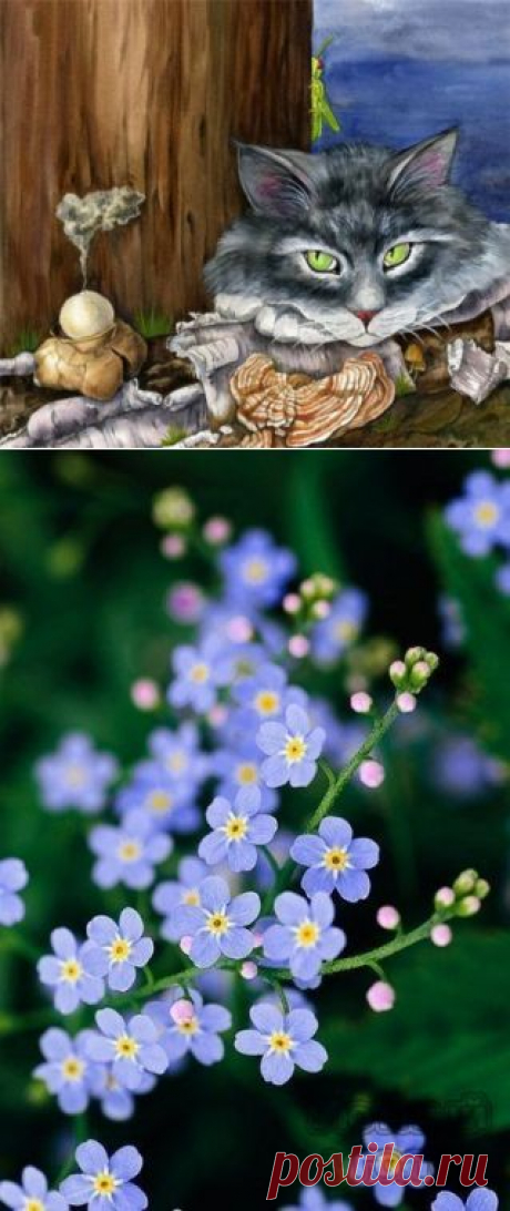 Картинки для декупажа.2 / Декупаж / Картинки для декупажа