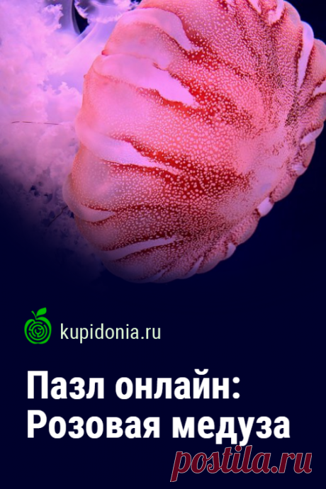 Пазл онлайн: Розовая медуза. Красивый пазл онлайн с яркой медузой. Собери пазл на сайте!