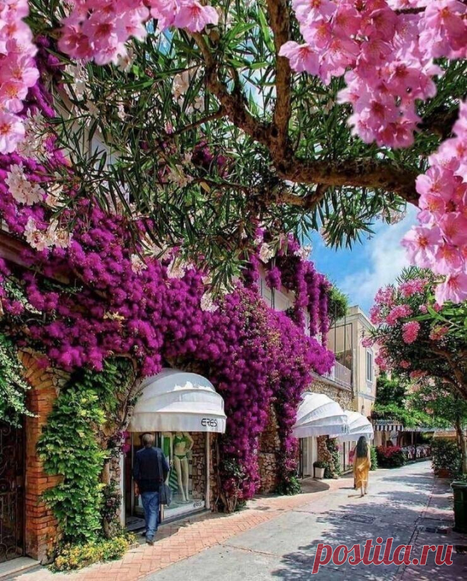 35 фотографий из серии Удивительное рядом