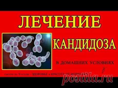 КАНДИДОЗ  КАК ЛЕЧИТЬ КАНДИДОЗ ДОМА
