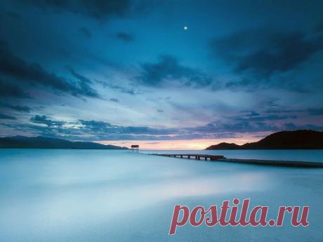 Потрясающий кадр! | НАУКА И ЖИЗНЬ