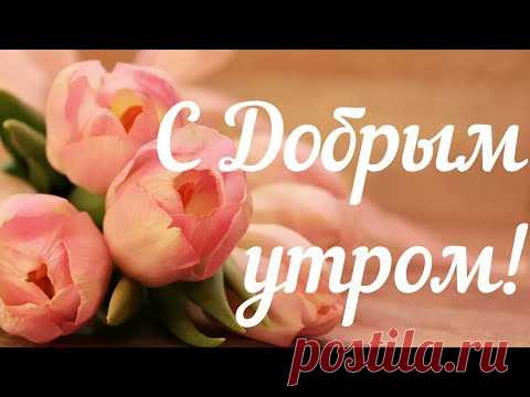 С Добрым Утром , с Новым Днём ! Пусть Удача будет в нём ! Шикарная песня в пожелании Доброго Утра! - YouTube