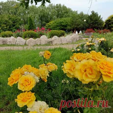 Анапа