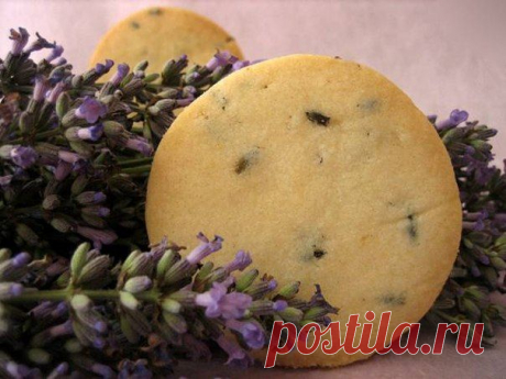 10 СПОСОБОВ ПРИМЕНЕНИЯ ЛАВАНДЫ |