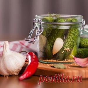Огурцы-молодцы: 10 рецептов заготовок на зиму