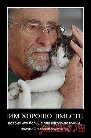 Им хорошо вместе...
