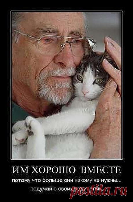 Им хорошо вместе...
