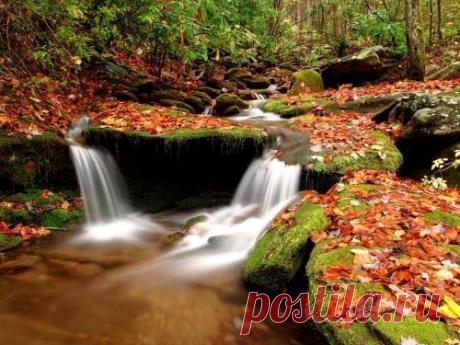 Красочные обои &quot;Осень&quot; на рабочий стол