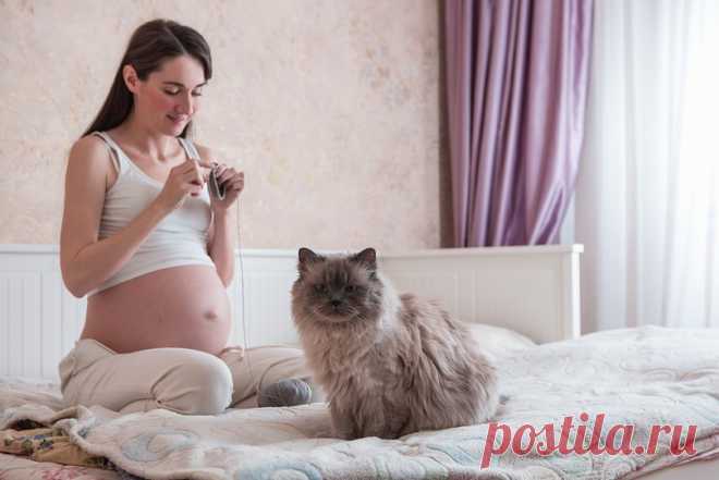 Беременность и домашние животные: мифы и факты Вы ждете малыша, а в доме есть питомцы? Надо знать, какие заболевания передаются от них к человеку и вредят маме и ребенку, и как себя обезопасить.