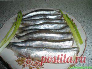 Мойва маринованная | БУДЕТ ВКУСНО!