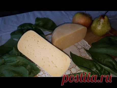 Гауда. Сыр в домашних условиях. Я сделала, а Вы?