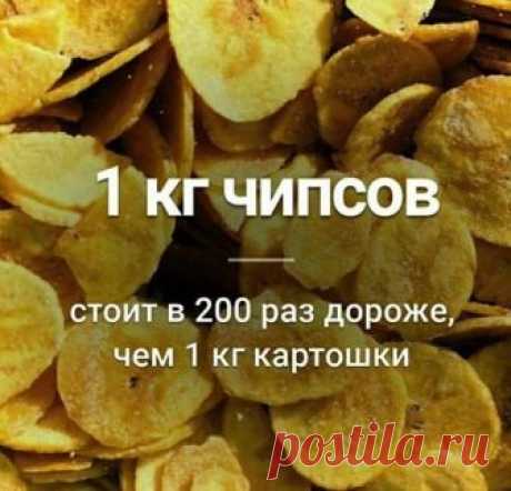 Интересные факты и истории - Главная