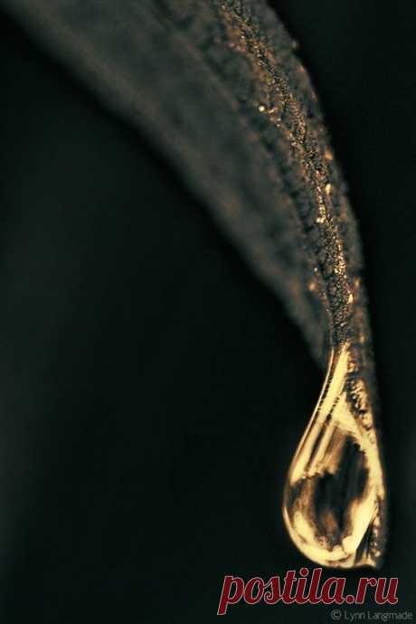 (1) Pinterest