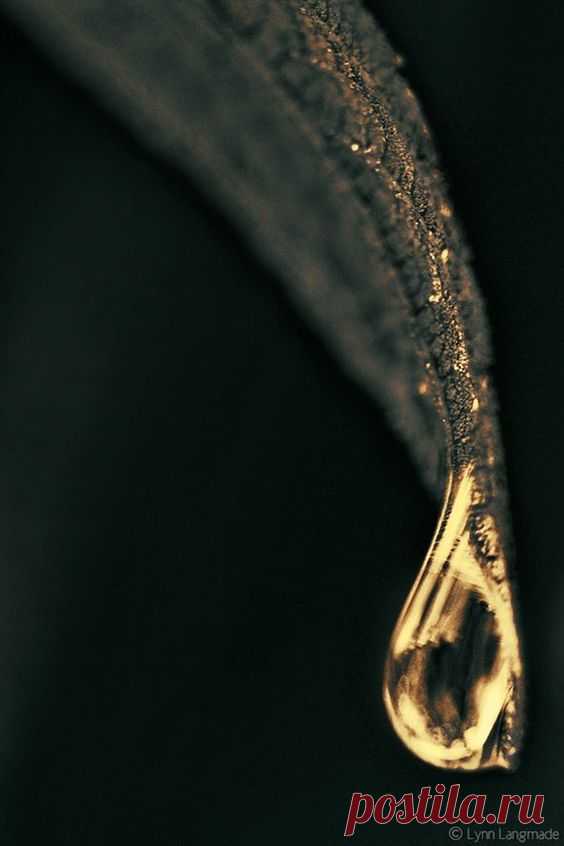 (1) Pinterest