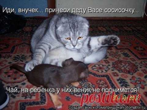 Старость надо уважать...