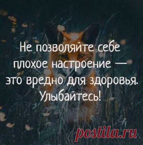 Без комментария