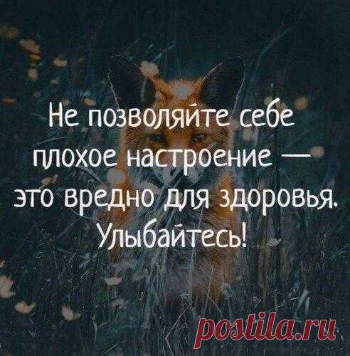 Без комментария