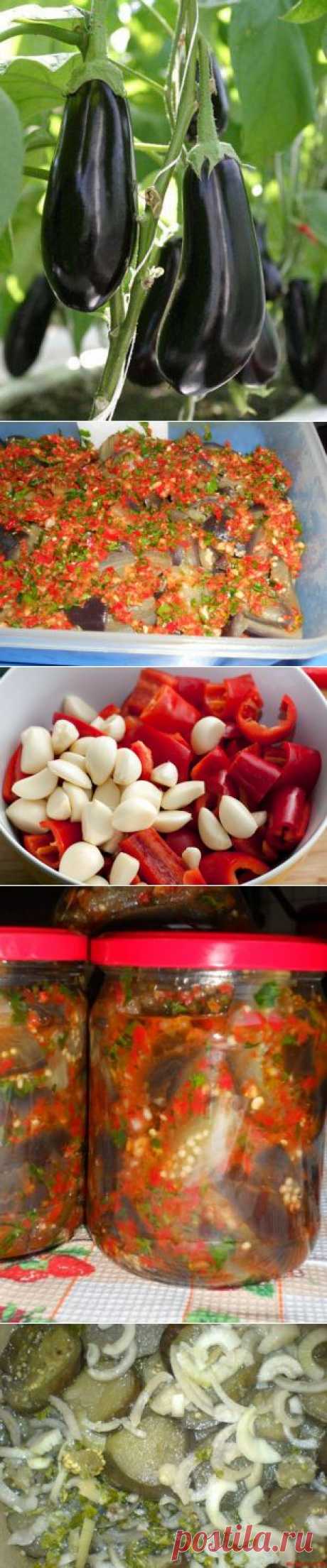 Квашенные баклажаны без хлопот-2рецепта - perchinka63.ru