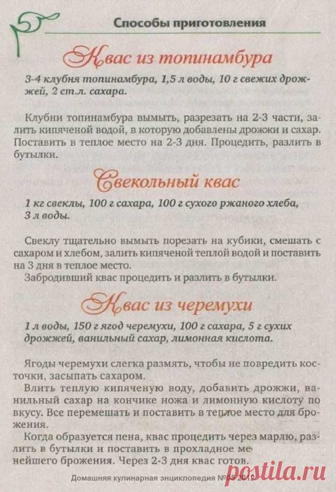 Квас из топинамбура. Свекольный квас. Квас из черемухи