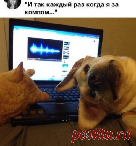 Обхохочешься