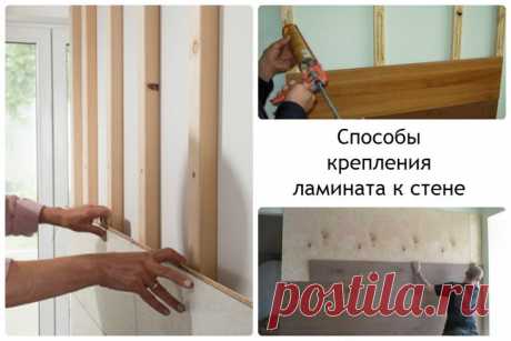 Отделка стен ламинатом - необычный дизайн (85 фото идей)