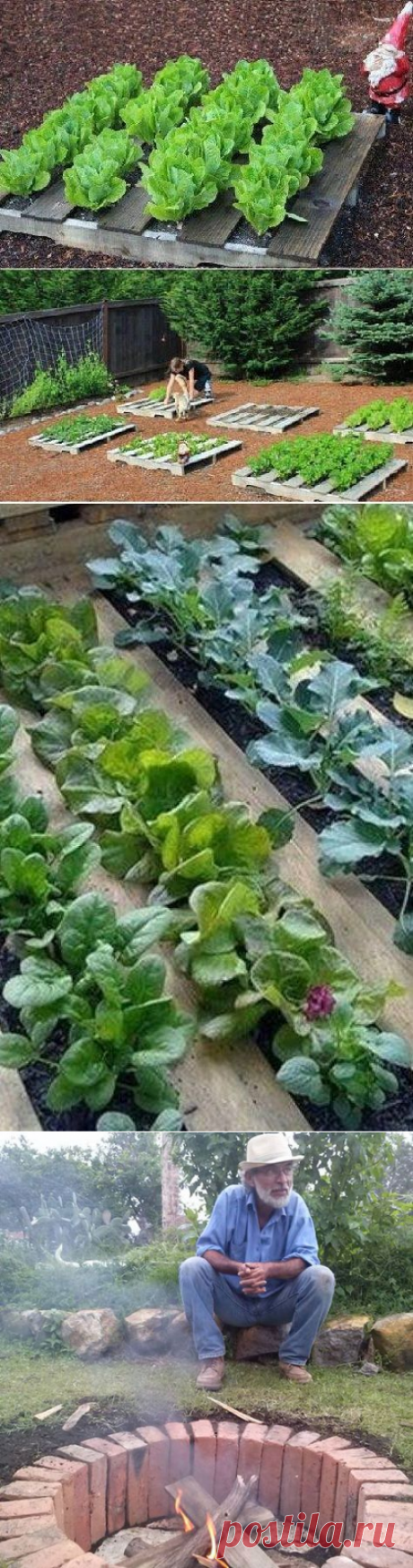 Письмо «Популярные пины на тему «растения»» — Pinterest — Яндекс.Почта
